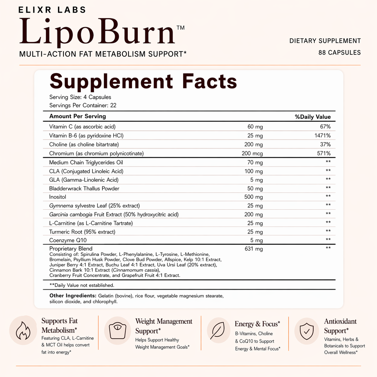 LipoBurn