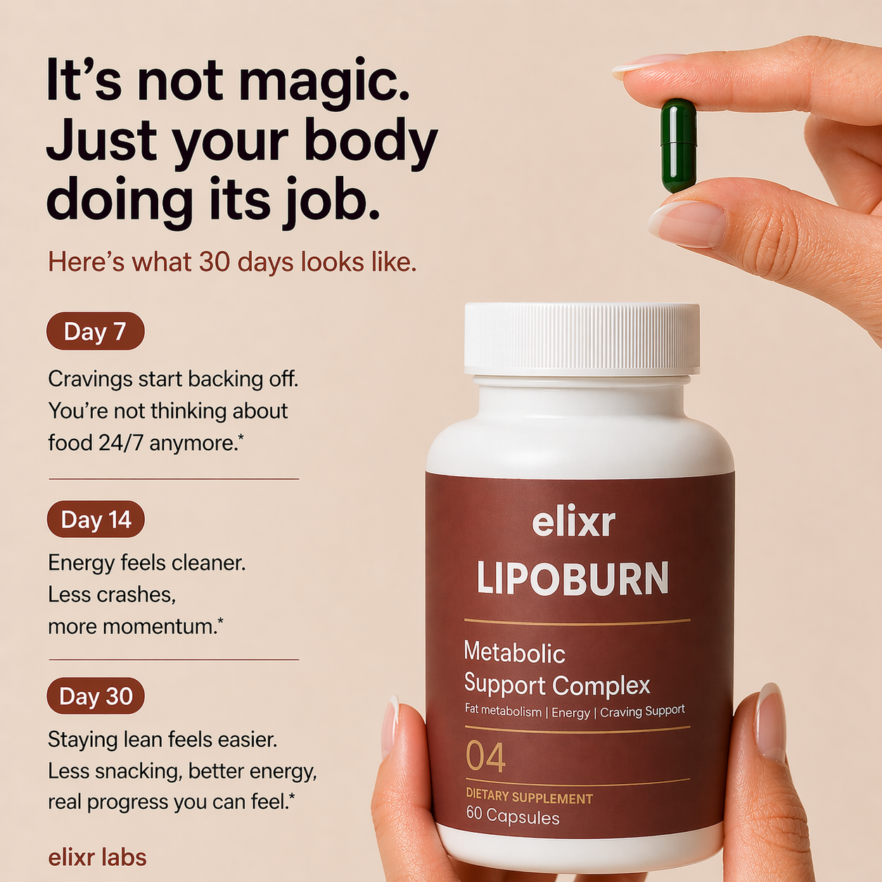 LipoBurn