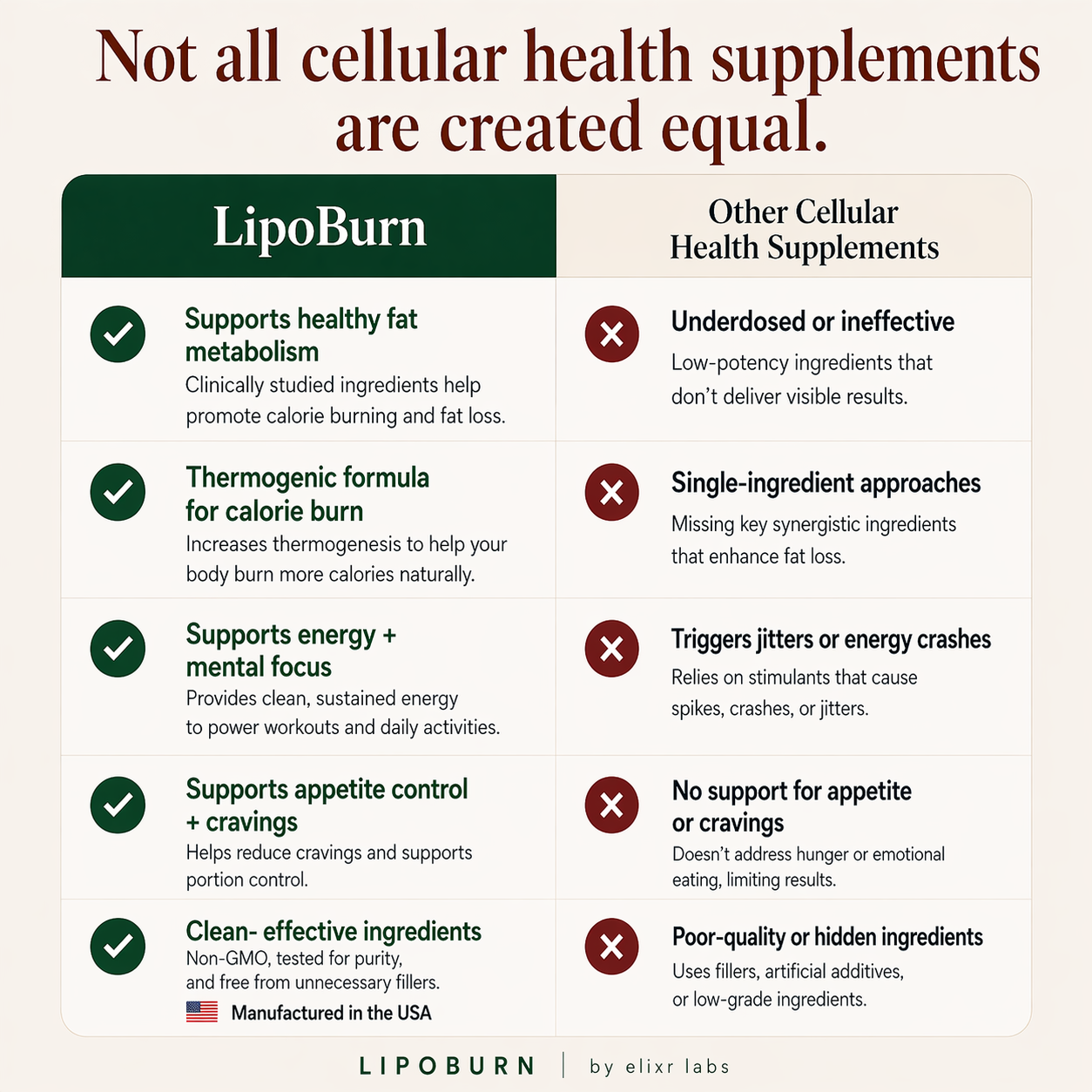 LipoBurn